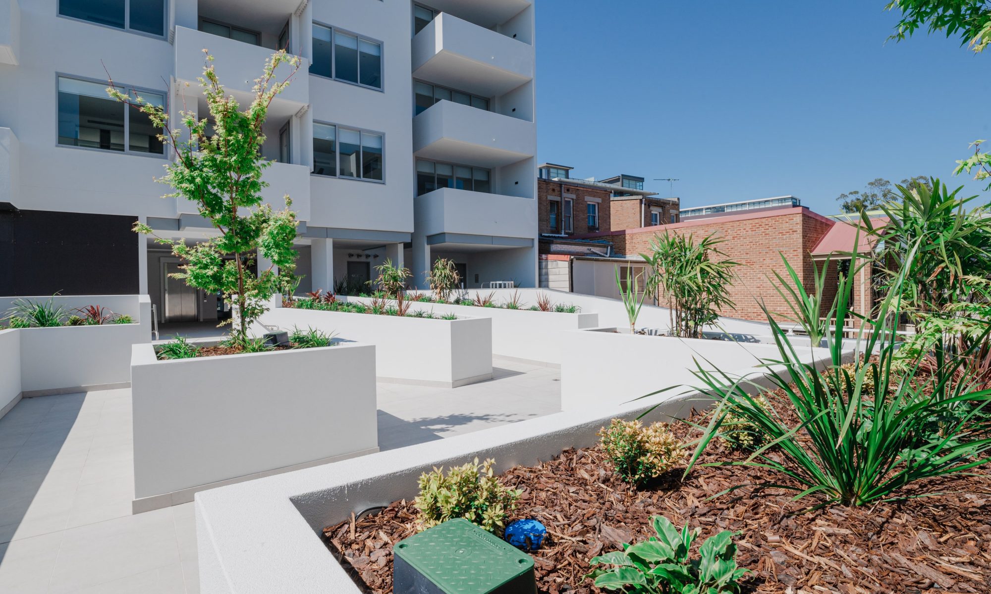 Commercial Landscaping