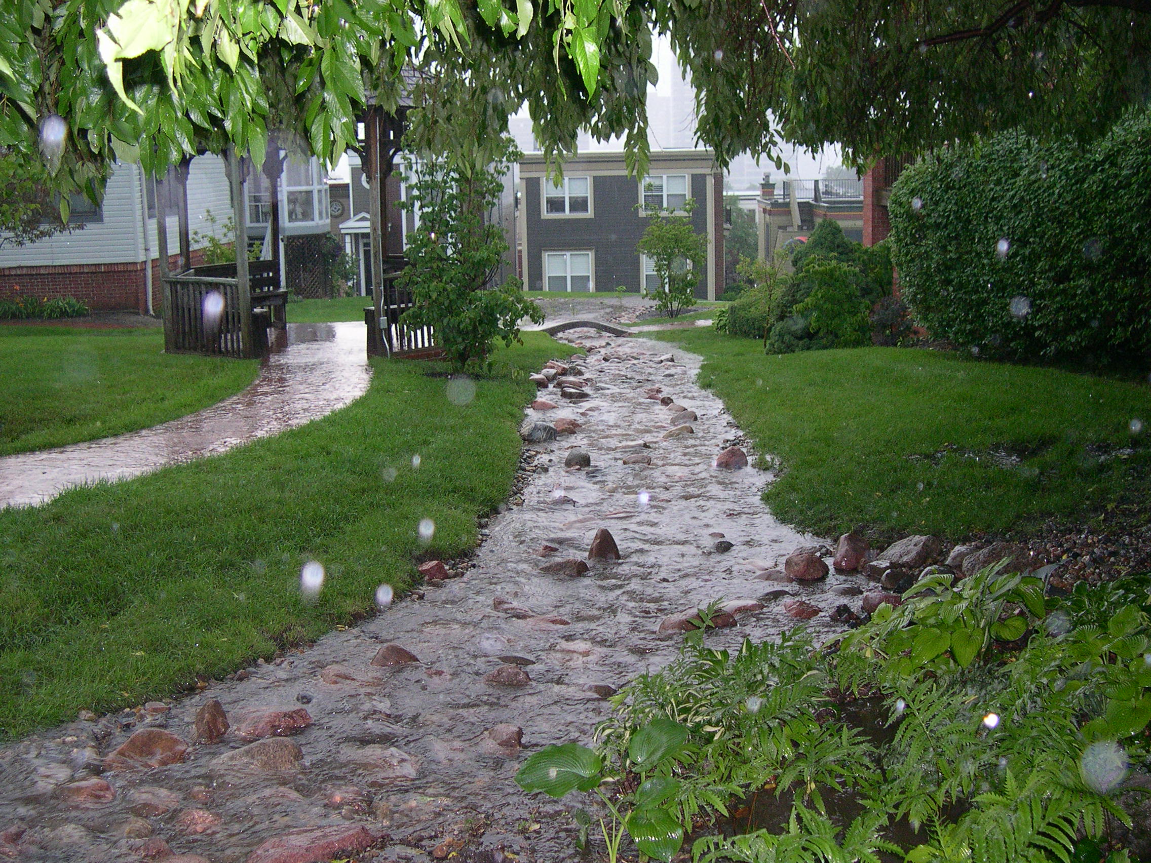Elevate Your Landscape with Rainscaping