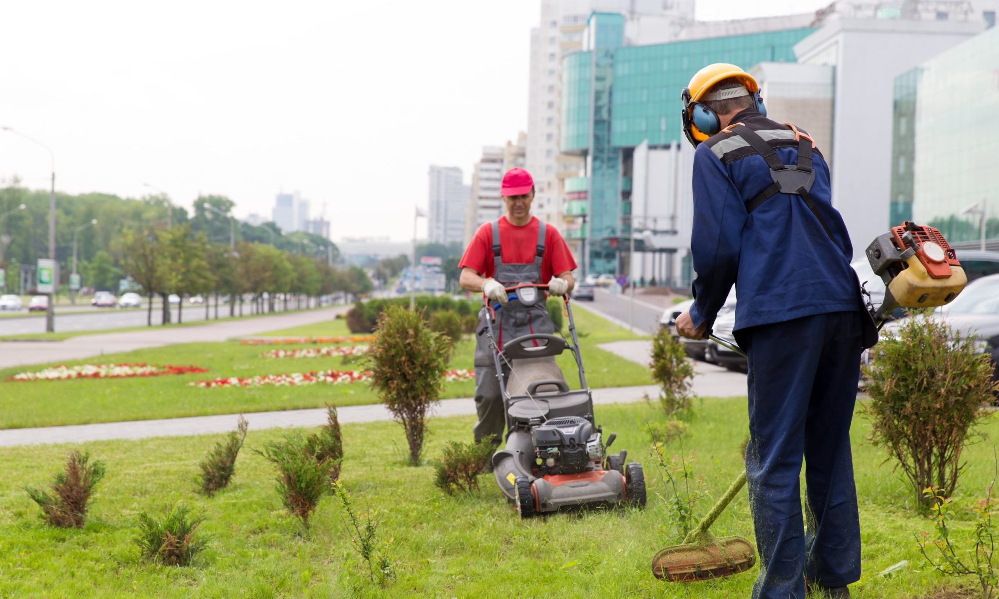 Commercial Landscape Maintenance