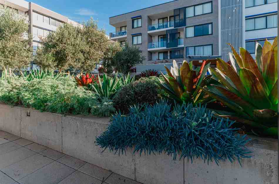 Eco-Friendly Landscaping Practices